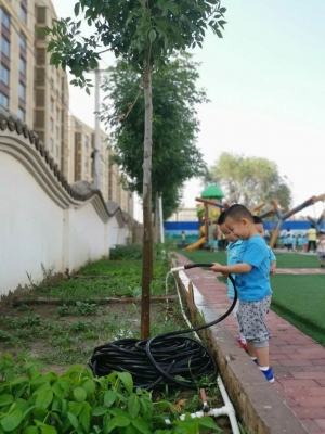 【IPR·精彩回顾】快乐采摘 生机盎然